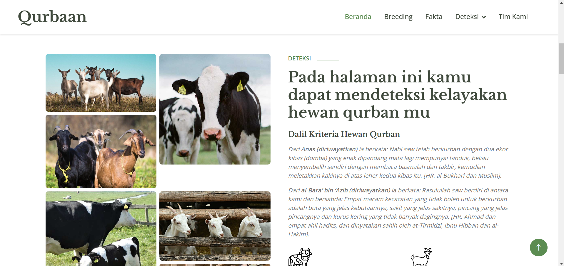 Landing Page_Qurbaan