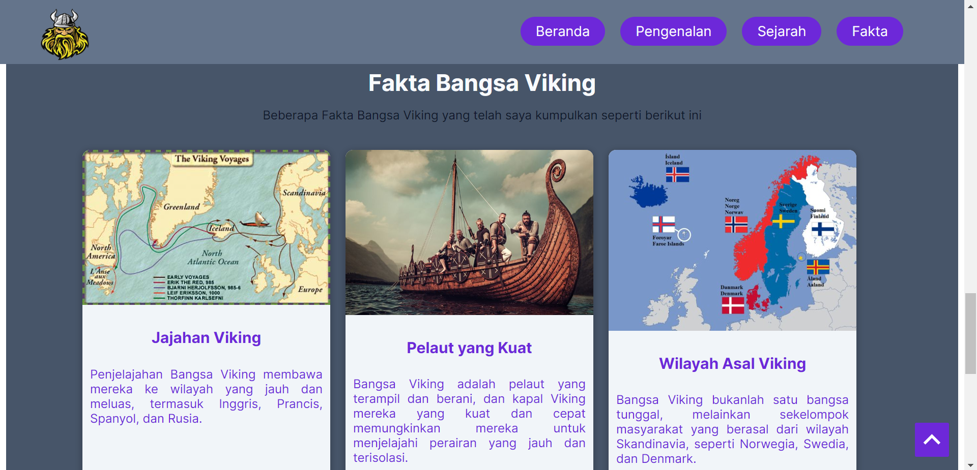 Article Viking